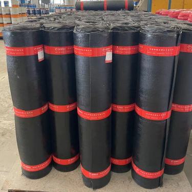 SBS防水卷材价格解析与市场趋势